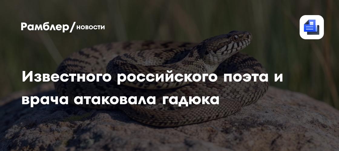 Известного российского поэта и врача атаковала гадюка