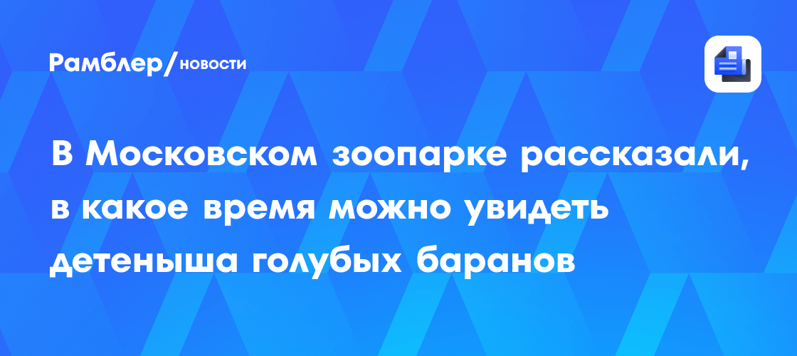 В Московском зоопарке рассказали, в какое время можно увидеть детеныша голубых баранов