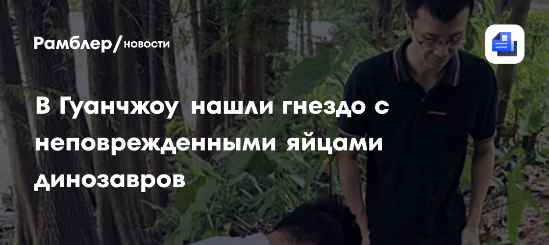 В Гуанчжоу нашли гнездо с неповрежденными яйцами динозавров