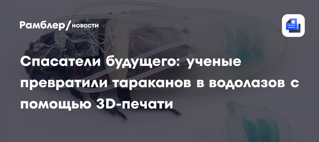 Спасатели будущего: ученые превратили тараканов в водолазов с помощью 3D-печати