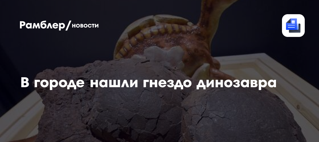 В городе нашли гнездо динозавра