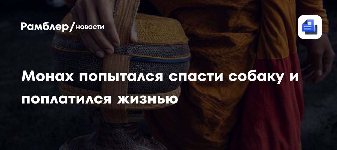 Монах попытался спасти собаку и поплатился жизнью