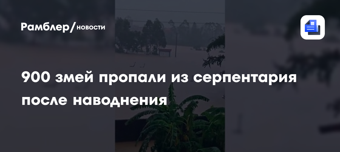 Из серпентария пропали 900 змей после наводнения на юге КНР