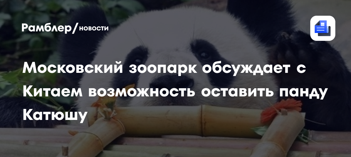 Московский зоопарк обсуждает с Китаем возможность оставить панду Катюшу