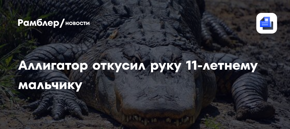 Аллигатор откусил руку 11-летнему мальчику