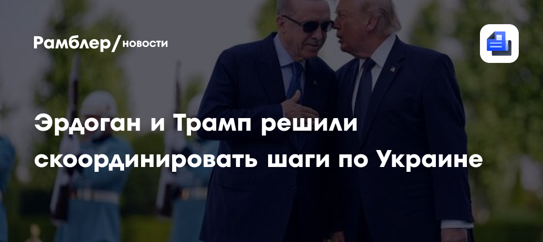 Эрдоган и Трамп решили скоординировать шаги по Украине
