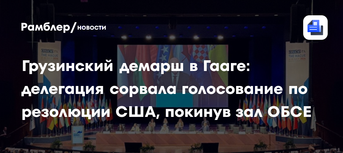 Грузинский демарш в Гааге: делегация сорвала голосование по резолюции США, покинув зал ОБСЕ