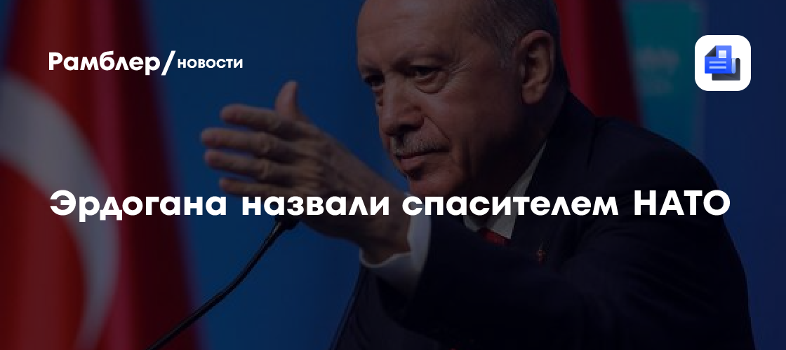 Эрдогана назвали спасителем НАТО