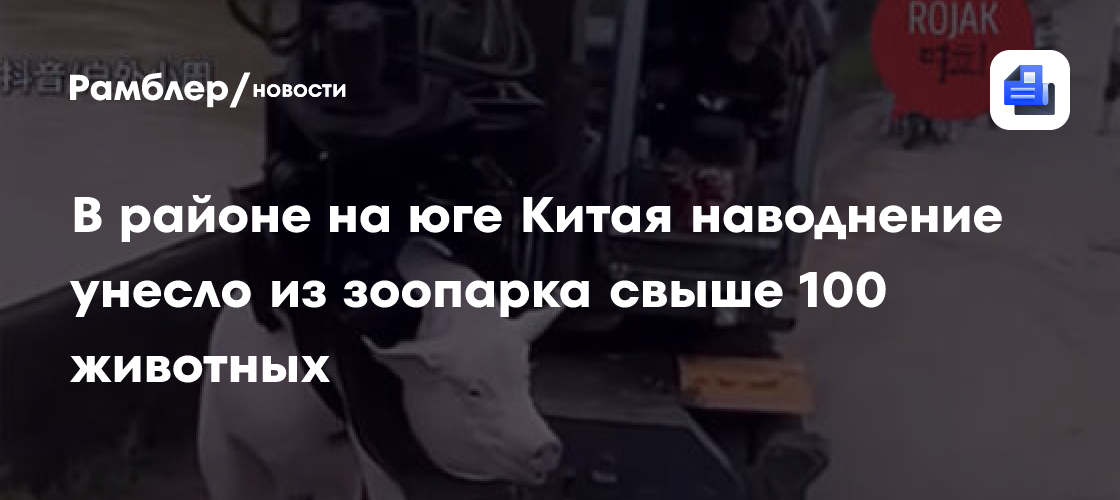 В районе на юге Китая наводнение унесло из зоопарка свыше 100 животных