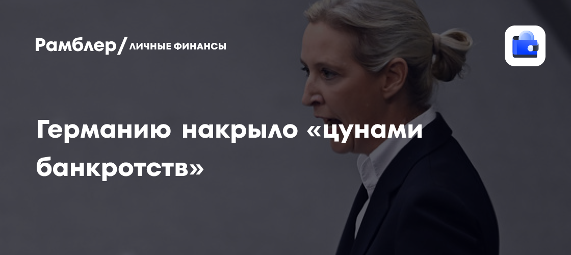 Лидер АдГ Вайдель заявила о "цунами банкротств" в Германии