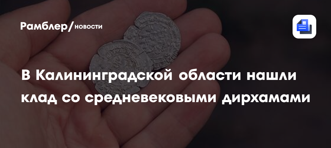 В Калининградской области нашли клад со средневековыми дирхамами