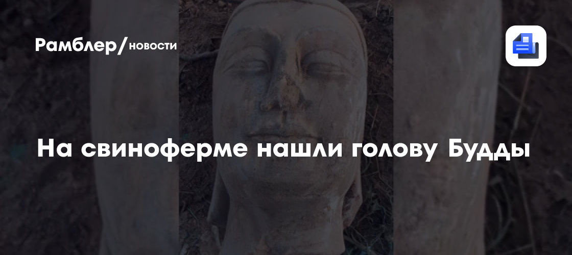 В Китае у свинофермы нашли голову от статуи Будды возрастом 1400 лет