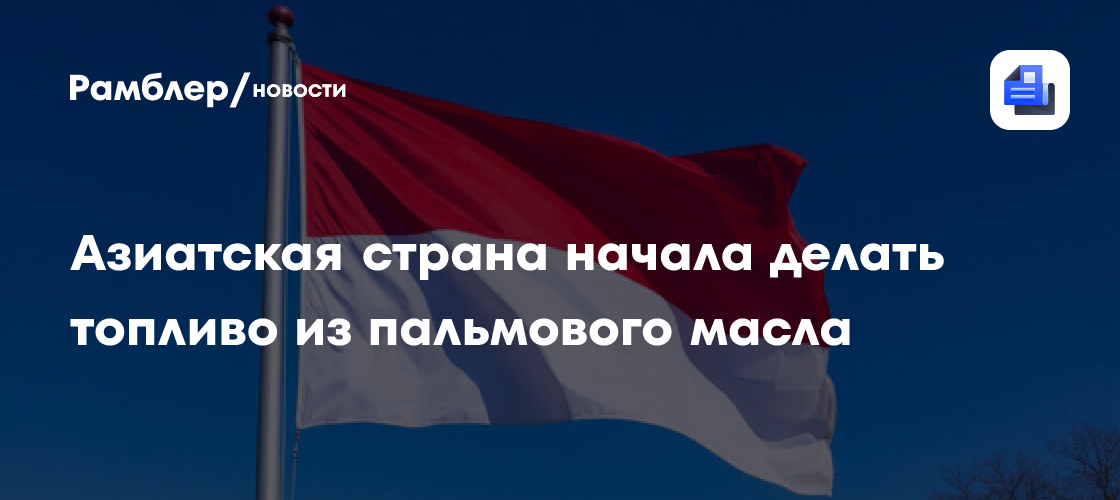 Азиатская страна начала делать топливо из пальмового масла