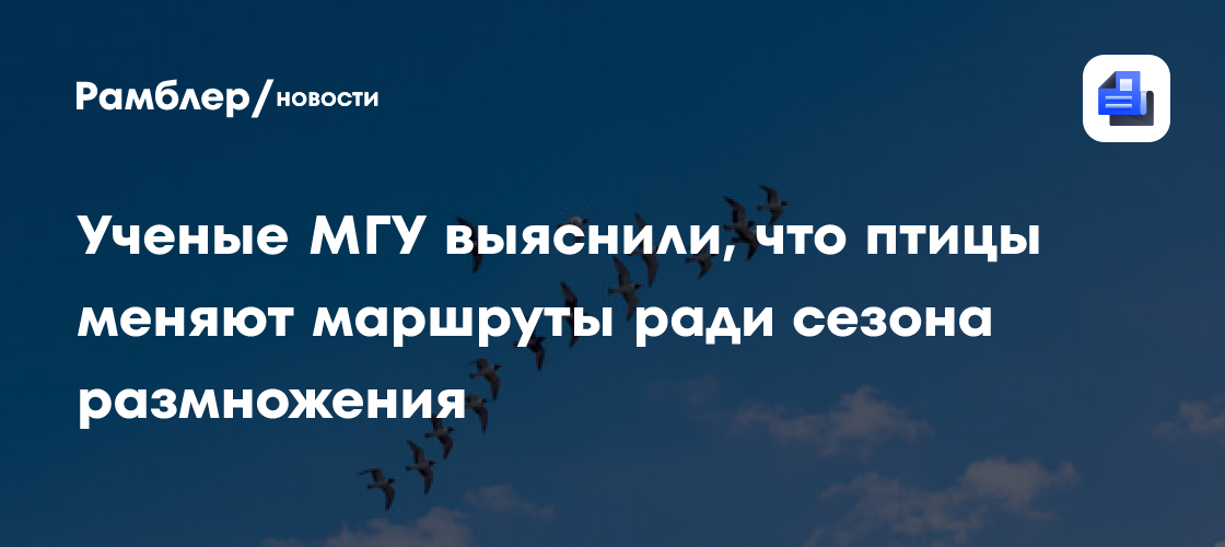 Ученые МГУ выяснили, что птицы меняют маршруты ради сезона размножения
