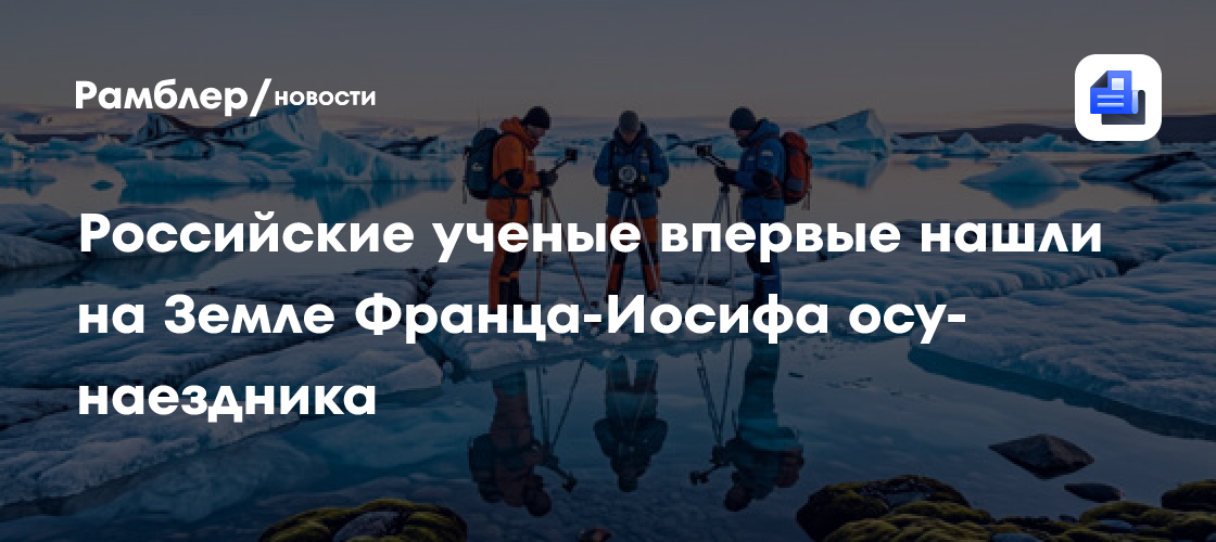 Российские ученые впервые нашли на Земле Франца-Иосифа осу-наездника