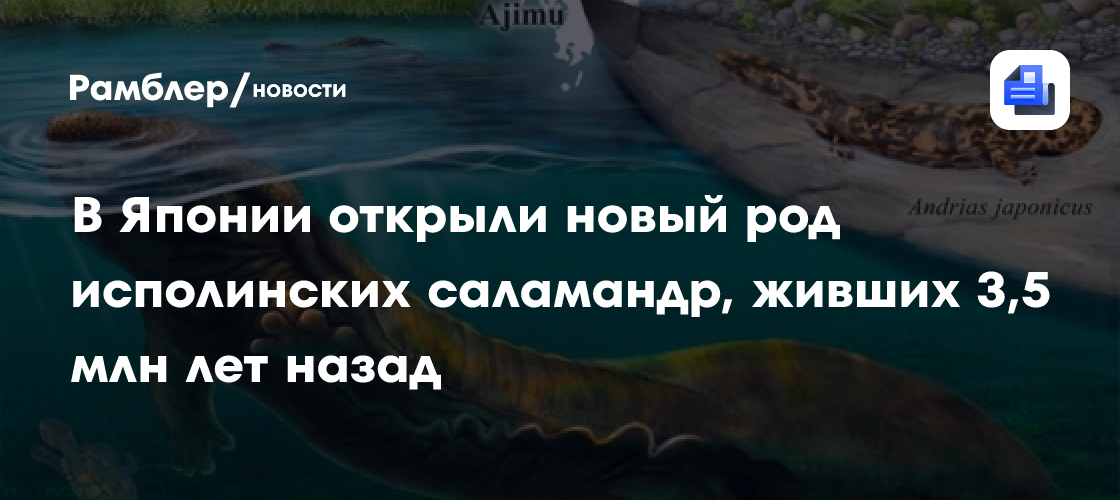 В Японии открыли новый род исполинских саламандр, живших 3,5 млн лет назад