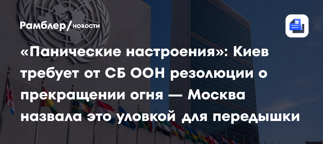«Панические настроения»: Киев требует от СБ ООН резолюции о прекращении огня — Москва назвала это уловкой для передышки