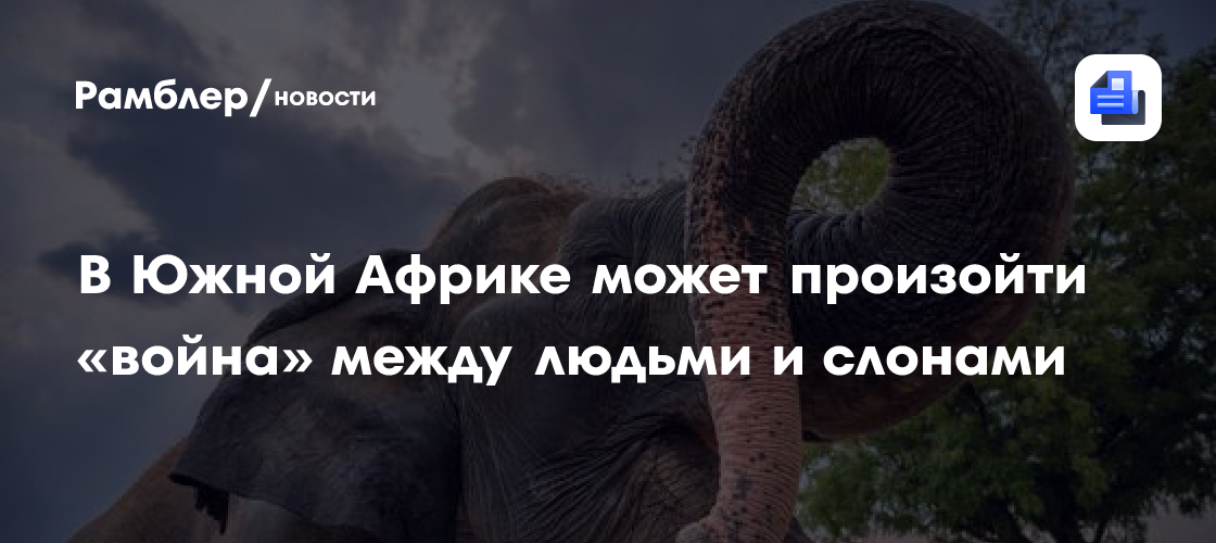 В Южной Африке может произойти «война» между людьми и слонами