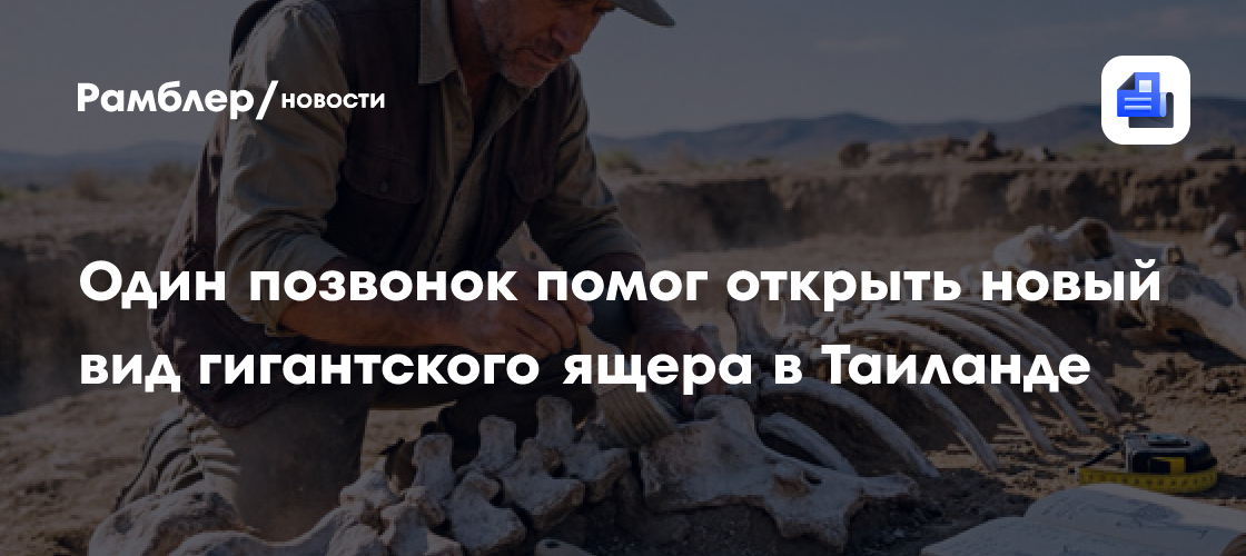Один позвонок помог открыть новый вид гигантского ящера в Таиланде