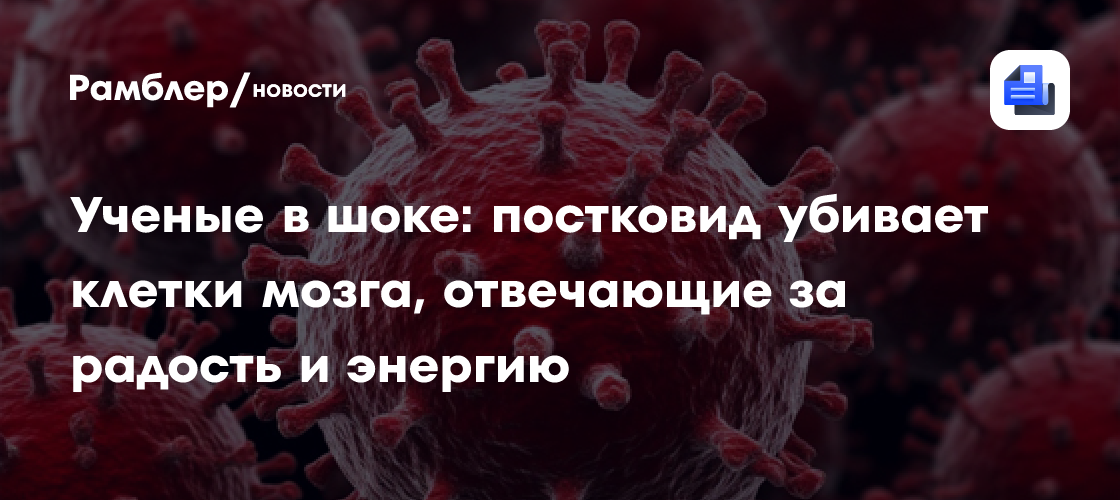 Ученые в шоке: постковид убивает клетки мозга, отвечающие за радость и энергию