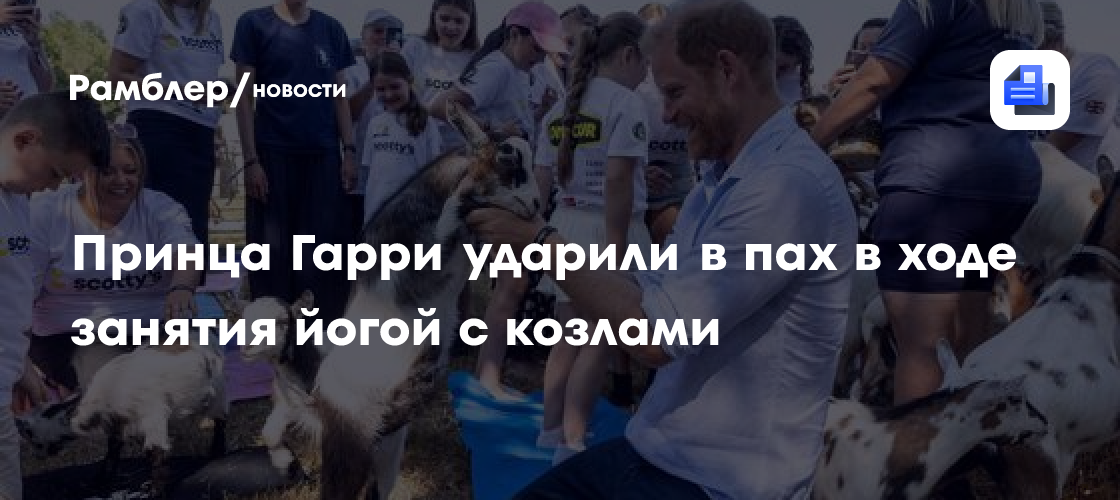 Принца Гарри ударили в пах в ходе занятия йогой с козлами