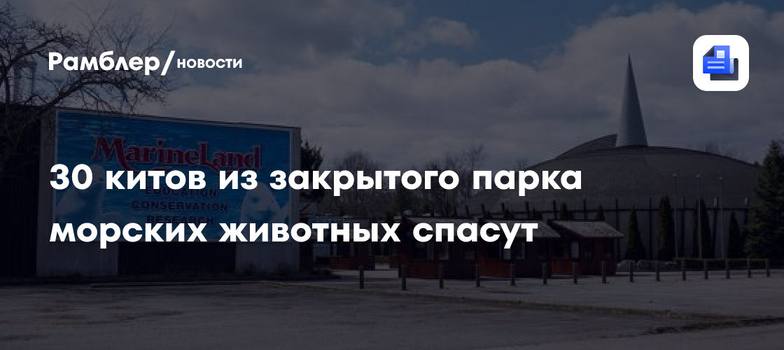 30 китов из закрытого парка морских животных спасут