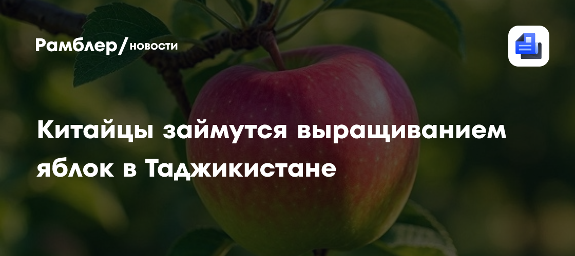 Китайцы займутся выращиванием яблок в Таджикистане
