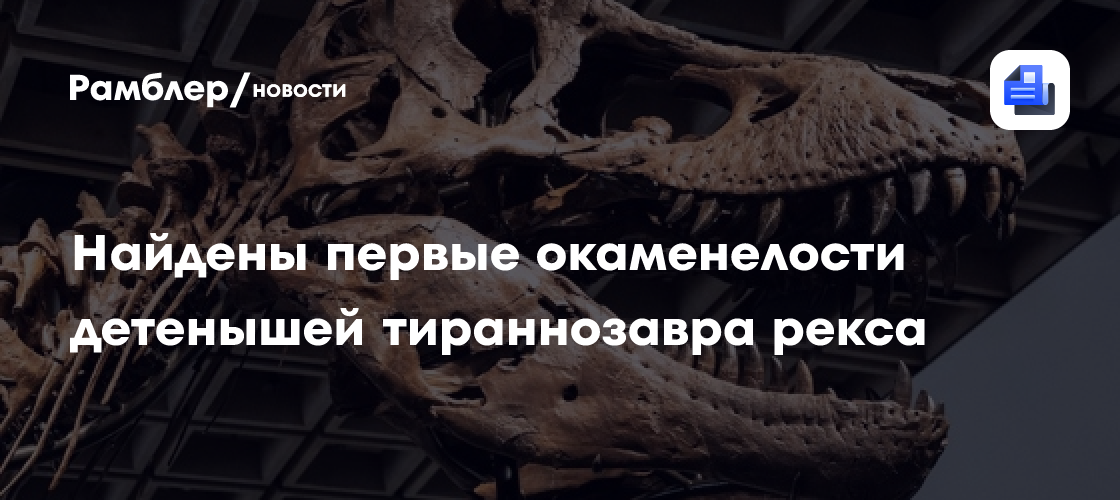 Найдены первые окаменелости детенышей тираннозавра рекса