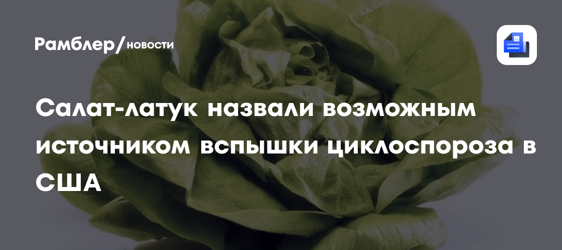 Салат-латук назвали возможным источником вспышки циклоспороза в США