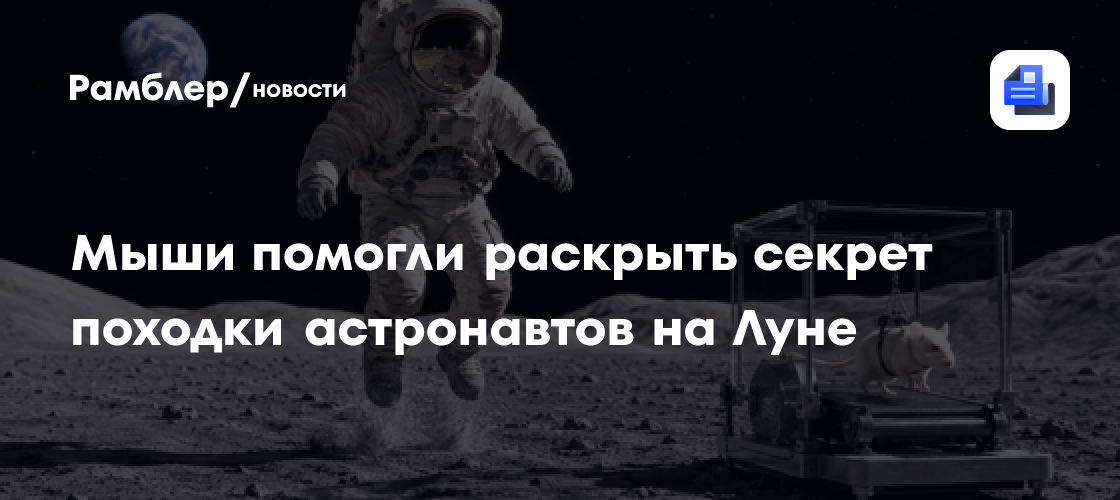 Мыши на «тарзанке» помогли раскрыть секрет походки астронавтов на Луне