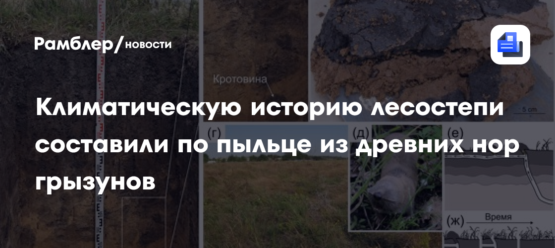Российские ученые прочитали климатическую историю лесостепи по пыльце из древних нор грызунов