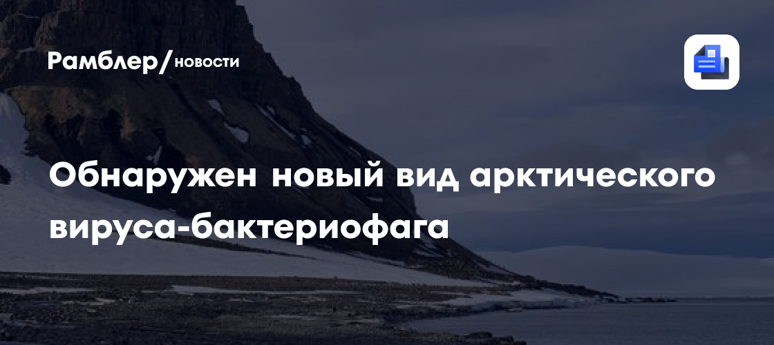 На Земле Франца-Иосифа обнаружили новый вид арктического вируса-бактериофага