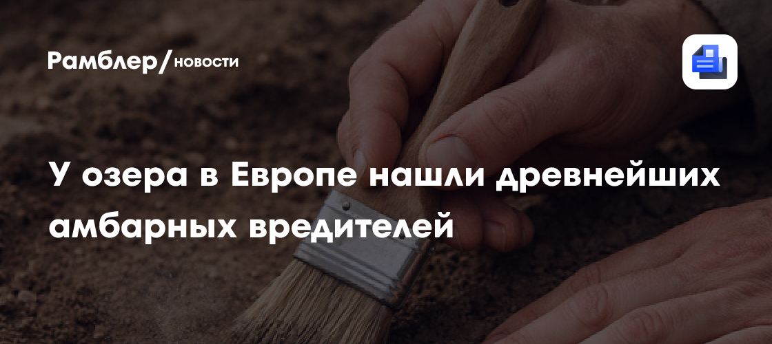 У озера в Европе нашли древнейших амбарных вредителей