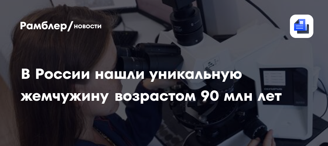 В России нашли и изучили редкую ископаемую жемчужину возрастом 90 млн лет