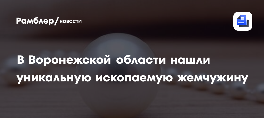 В Воронежской области нашли уникальную ископаемую жемчужину