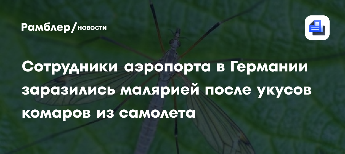Сотрудники аэропорта в Германии заразились малярией после укусов комаров из самолета