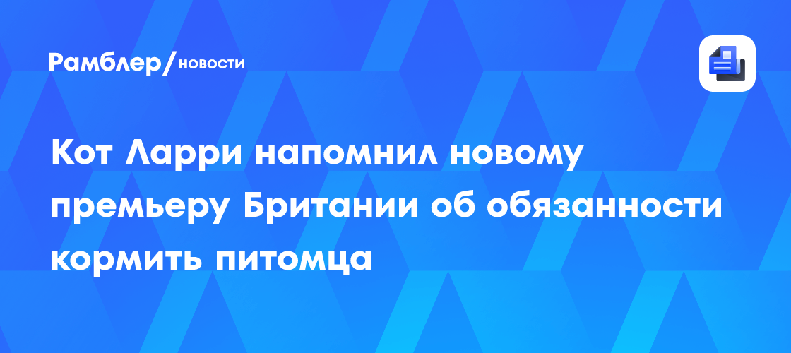 Кот Ларри пошутил, что обязанностью будущего премьера Британии станет забота о нем