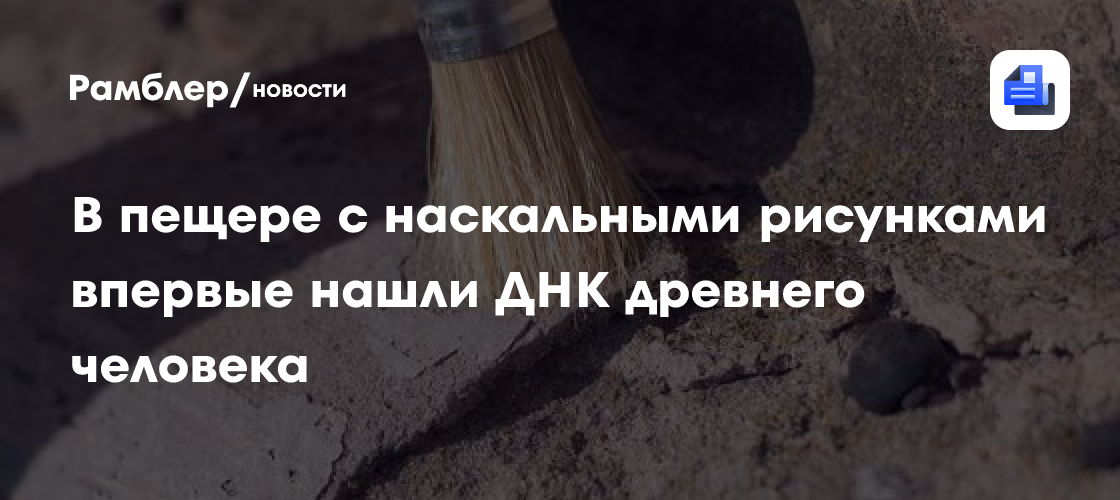 В пещере с наскальными рисунками впервые нашли ДНК древнего человека