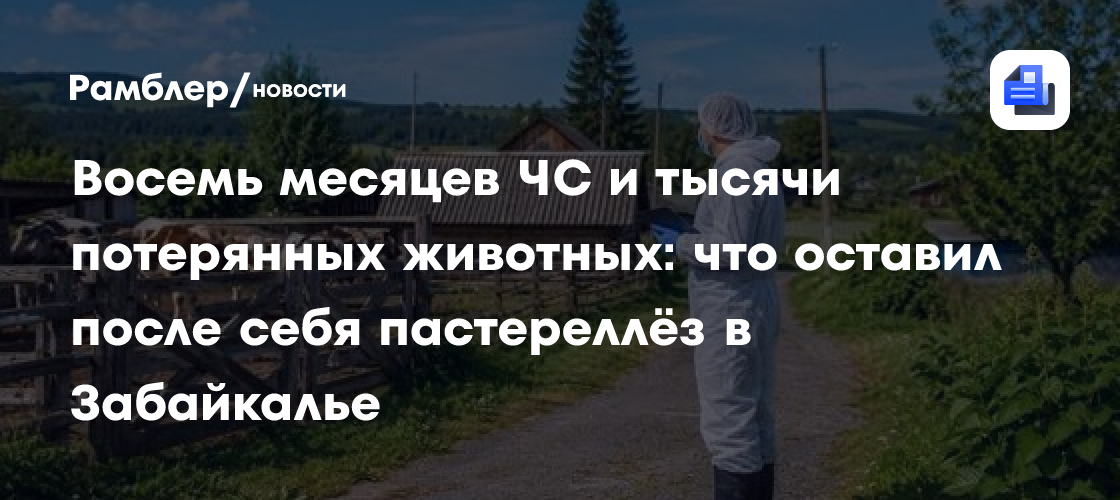Восемь месяцев ЧС и тысячи потерянных животных: что оставил после себя пастереллёз в Забайкалье