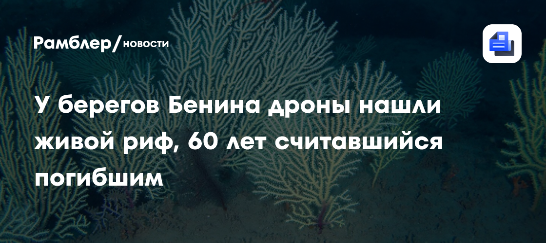У берегов Бенина дроны нашли живой риф, 60 лет считавшийся погибшим