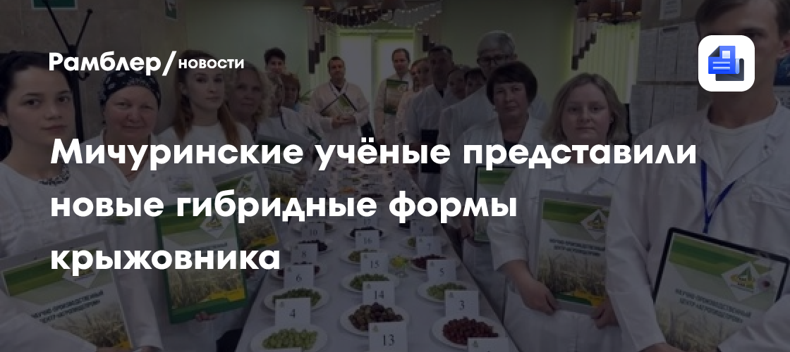 Мичуринские учёные представили новые гибридные формы крыжовника
