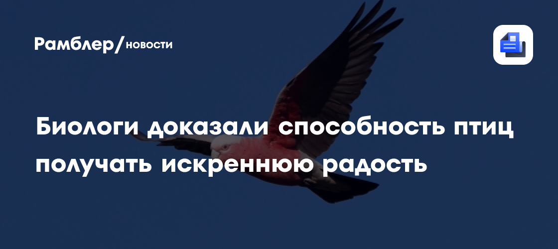Биологи доказали способность птиц получать искреннюю радость