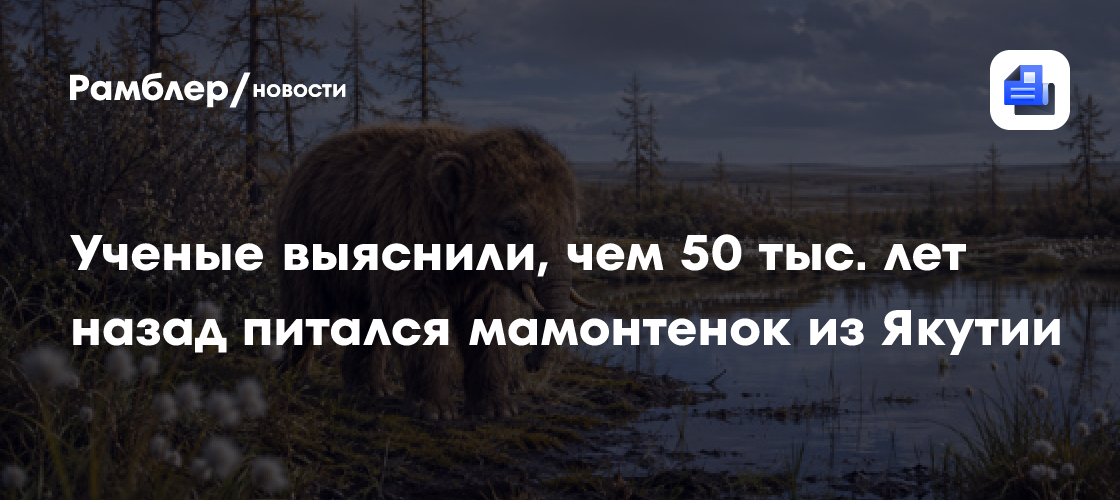 Ученые выяснили, чем 50 тыс. лет назад питался мамонтенок из Якутии