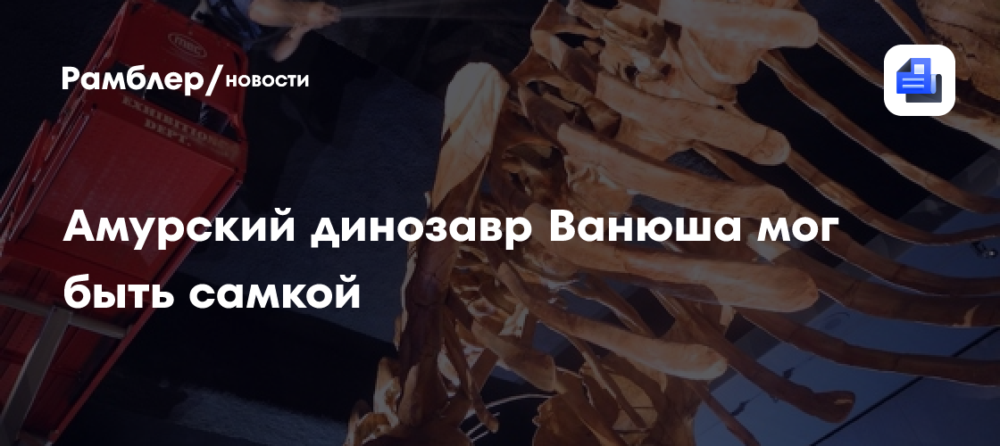 Амурский динозавр Ванюша мог быть самкой