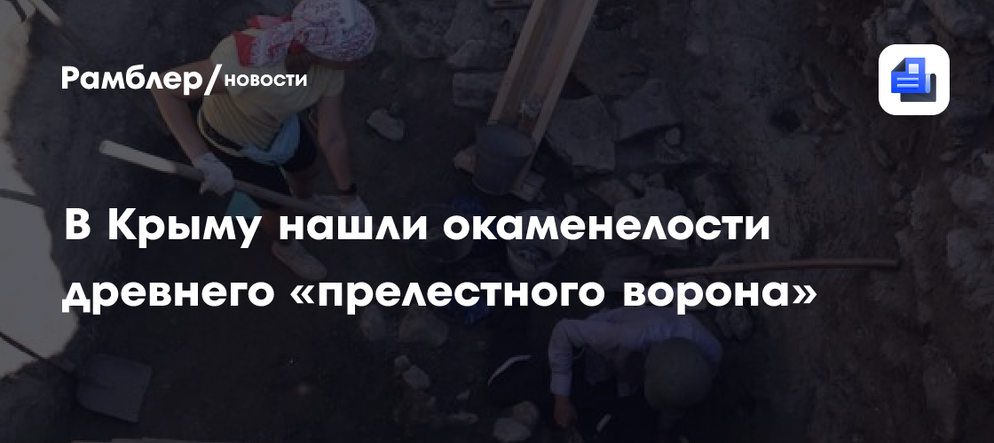 Окаменелости древнего «прелестного ворона» нашли российские ученые