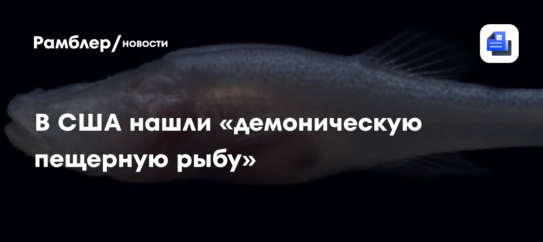 В США нашли «демоническую пещерную рыбу»