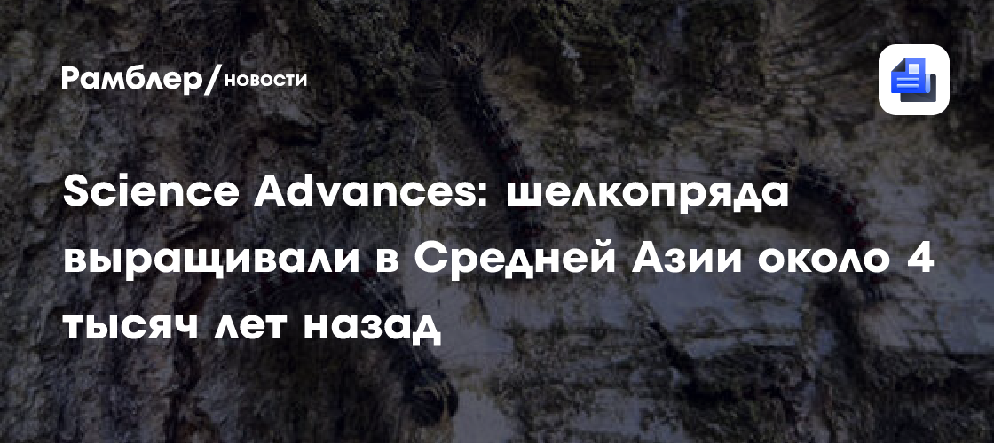 Science Advances: шелкопряда выращивали в Средней Азии около 4 тысяч лет назад