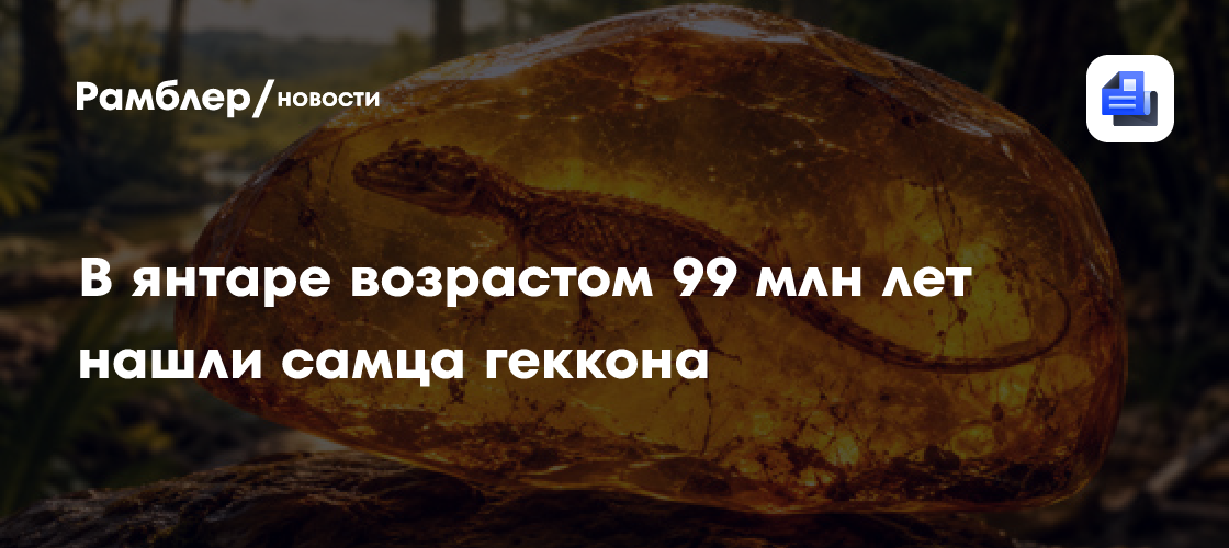 В янтаре возрастом 99 млн лет нашли самца геккона