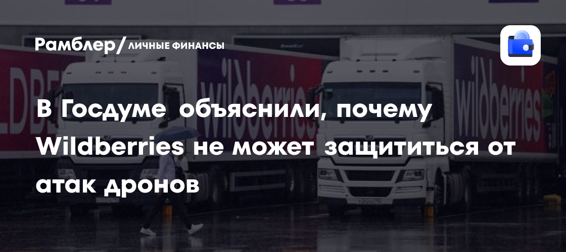 Депутат Делягин назвал причины уязвимости складов Wildberries перед дронами