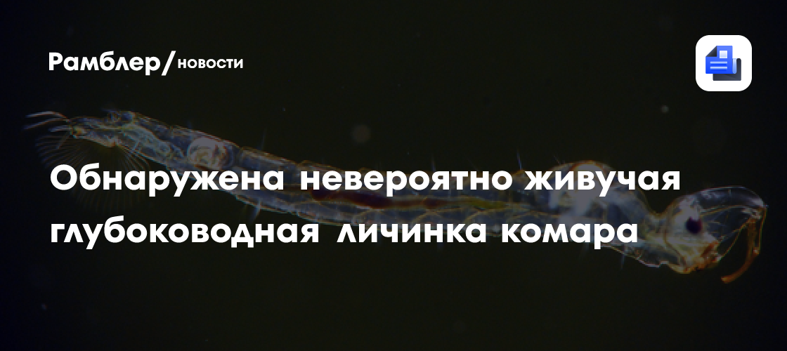 Обнаружена невероятно живучая глубоководная личинка комара